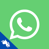 Continuar pelo WhatsApp
